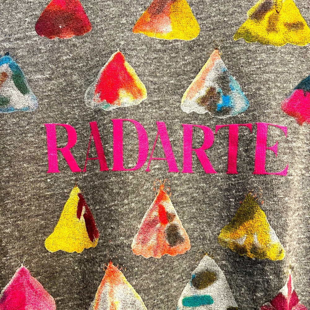 Rodarte special edition sweatshirt like new size M